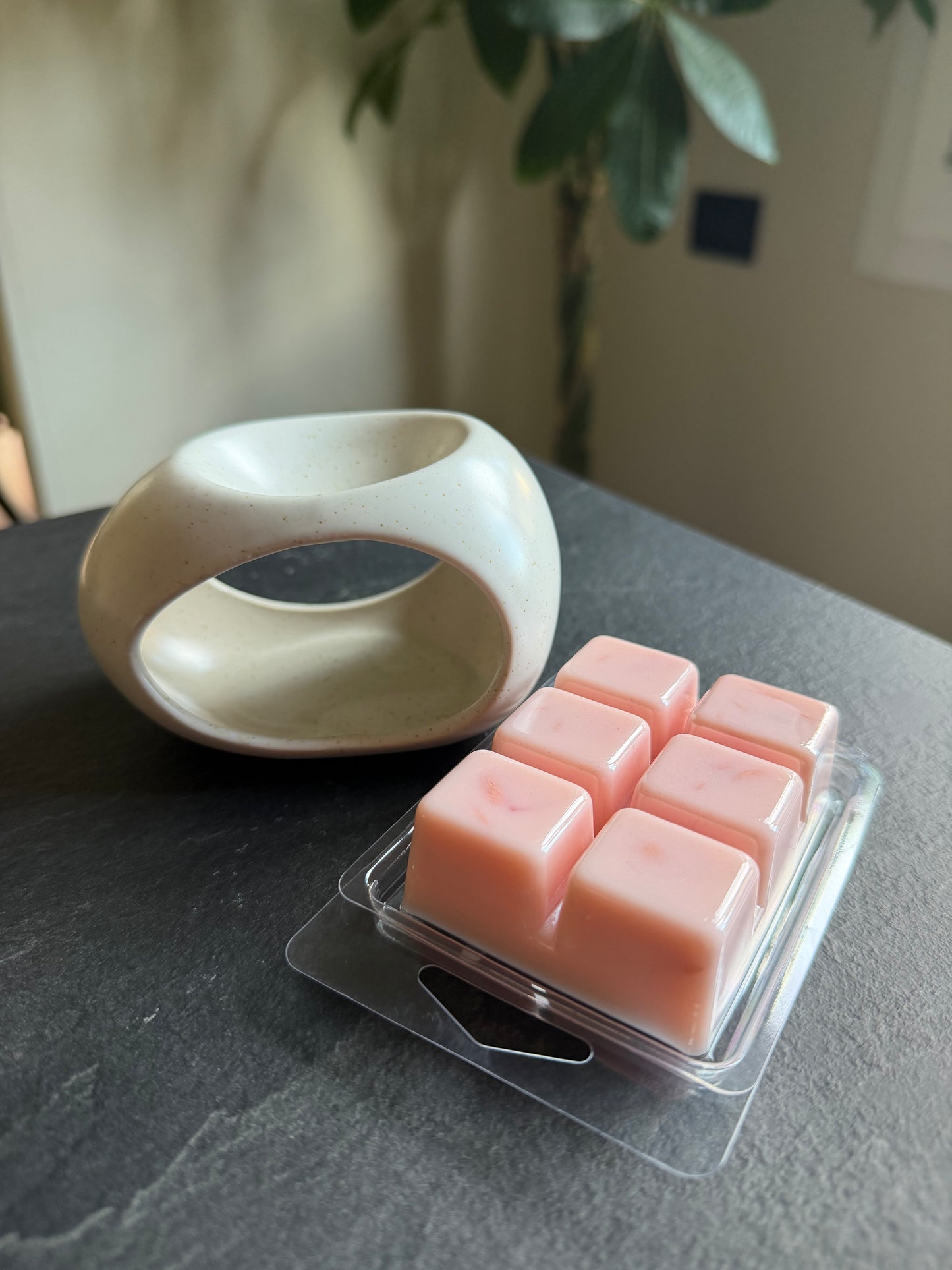 DIFFUSORE MODERNO CON CERA